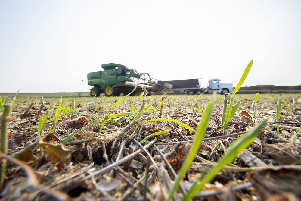 Cargill RegenConnect