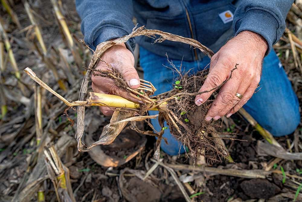 hard work for farmers