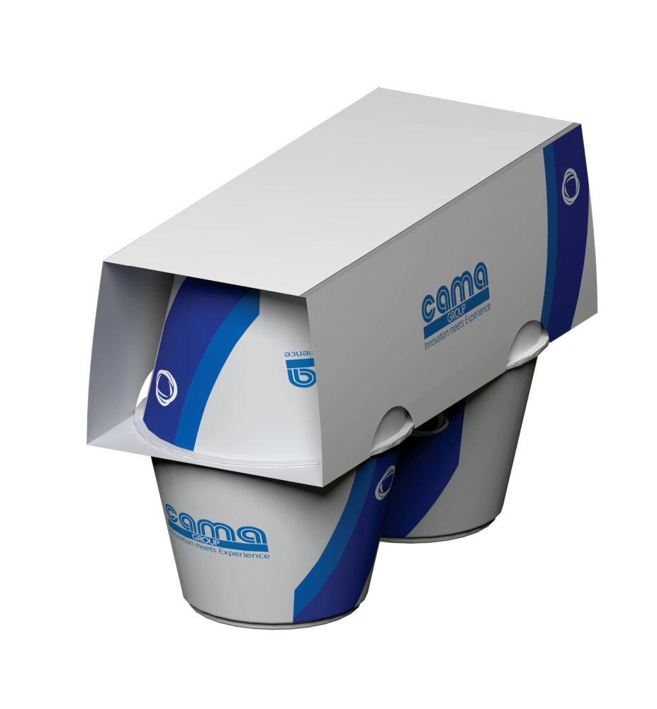 Carton Sleeving machine
