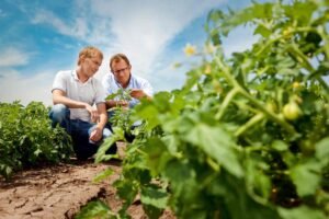 Agriculture and Innovation
