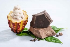 Cacaofruit Experience