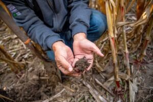 Regenerative agricultural techniques